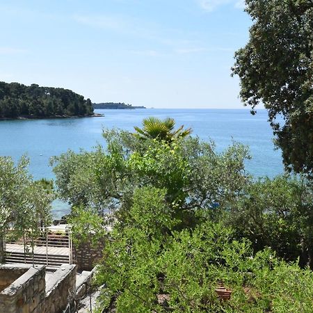 Buric House - Apartments Klasik And Studio Mini Rovinj Ngoại thất bức ảnh