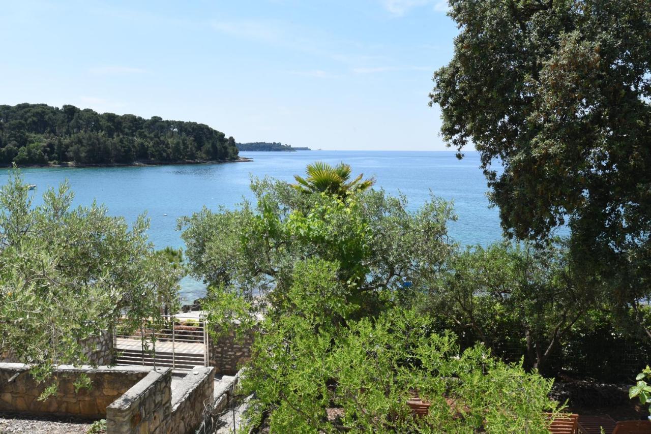 Buric House - Apartments Klasik And Studio Mini Rovinj Ngoại thất bức ảnh